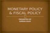 Monetary policy & fiscal policy