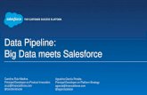 Data Pipelines: Big Data Meets Salesforce