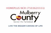 MULBERRY COUNTY -FARIDABAD-a3 bhk + 3 t +sq (1806 sf) @3216_SF in fresh booking