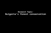 Bulgaria's forest conservation