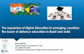 The expansion of higher education in emerging countries: the boom of distance education in Brazil and India