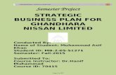 Semester project (strategic managment 70415)