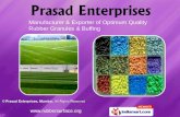 Synthetic Grass Turf by Prasad Enterprises Thane