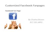 Custom Facebook Fanpages