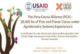 The peru cocoa alliance (pca)