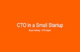 CTO in a Small Startup  Bryan Helmig - Zapier