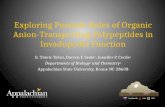 Honors Chemistry Thesis Defense