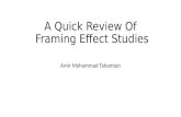 Framing effect studies