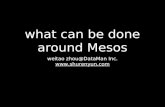 What can-be-done-around-mesos