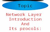 Final Presentation on the Network layer
