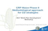 CRP MAIZE Workplan 2017