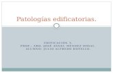 Patologias edificatorias