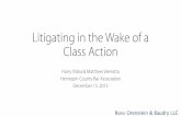 Litigating in the Wake of a Class Action