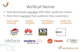 Vertical Nerve Overview