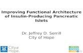 Improving Functional Architecture of Insulin-Producing Pancreatic Islets