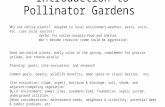Decorah Envirothon Introduction to pollinator gardens