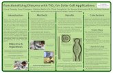 Functionalized Diatoms Poster Presentation