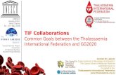 TIF Collaborations: Common goals between the Thalassaemina International Federation and GG2020 - Carsten W. Lederer
