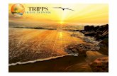 Tripps Travel Network Highlights Amazing Las Vegas Attractions for Summer 2017