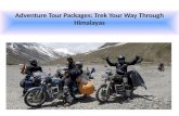 Adventure Tour Packages: Trek Your Way Through Himalayas