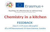 Chemistry in a kitchen - feedback 1