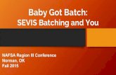 Baby Got Batch: SEVIS Batching and You