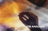 4 job analysis2