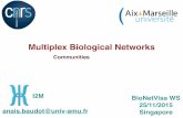 Identification of communities from Multiplex Networks