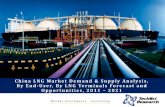 China LNG Market 2021 - brochure