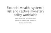 Financial Wealth, system risk and captive monetary policy worldwide