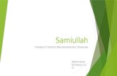 Samullah Freelance Work Showcase