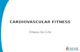 Benefits of Cardiovascular Exercise