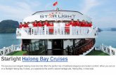 Starlight Cruise Offer the Luxurious Cruise Service in Halong Ba, Vietnam