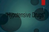 Pharmacology   Hypotensive drugs