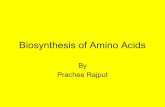 Biosynthesis of amino_acids
