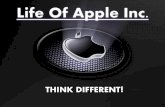 Life of Apple