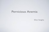 Pernicious anemia (Vitamin B12 deficiency)