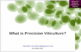 What is Precision Viticulture by Richard Hamilton