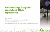 Bicycle Risk Estimation - Short Report