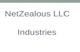 NetZealous LLC Industries