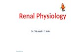 Renal physiology, renal blood flow, autoregulation, golmerular filtration. hussein f. sakr