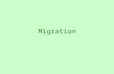 World Geography - Unit 4 migration