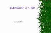 neurobiology of stress