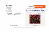 Chapter 7 – humoral immune responses lecture 7