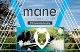 Mane Entertainment Sustainability Consulting