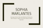 Sophia Marlantes AA Activation Photos