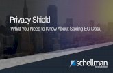 Privacy shield: What You Need To Know About Storing EU Data