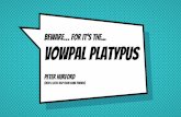 Vowpal Platypus: Very Fast Multi-Core Machine Learning in Python.