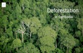 Deforestation in cambodia