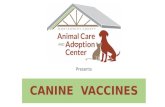 Canine vaccine training presentation
